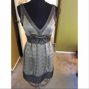 Anna Sui Silver Dress